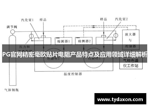 PG官网精密毫欧贴片电阻产品特点及应用领域详细解析